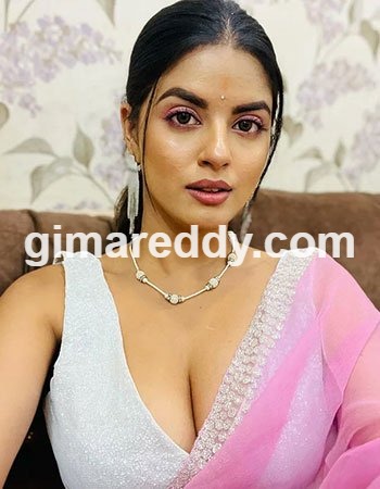 Chandigarh Call Girl service